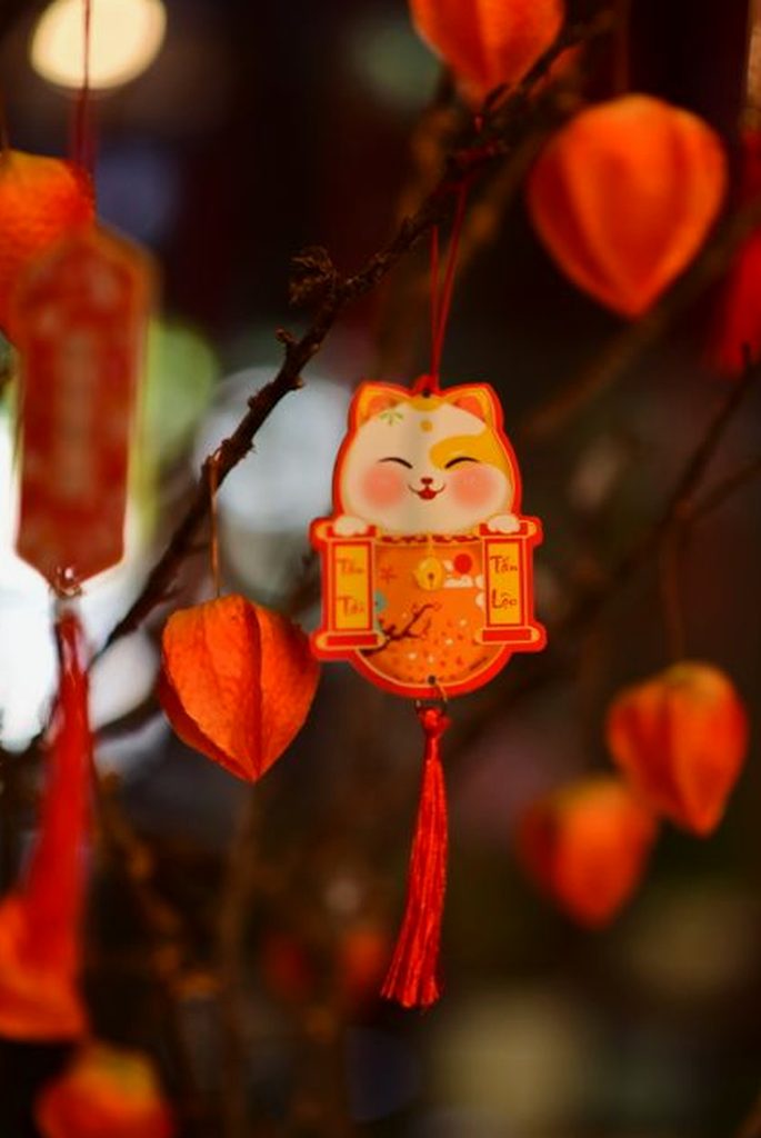 xì tố Sodo
